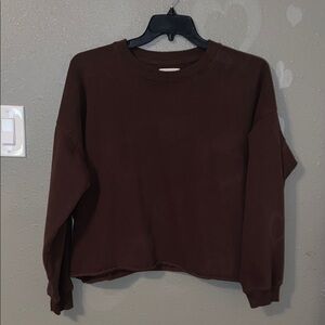 Brown American Eagle Cropped Sweater